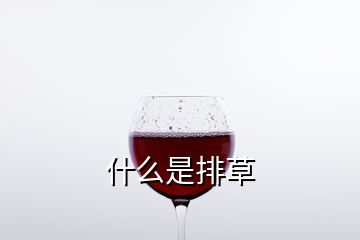 什么是排草