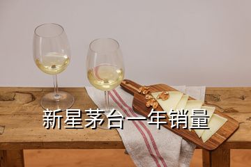 新星茅臺(tái)一年銷量