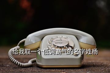 給我取一個低調(diào)霸氣的名字姓楊