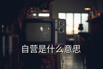 自營(yíng)是什么意思