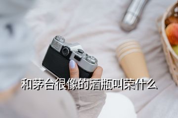 和茅臺很像的酒瓶叫榮什么