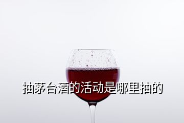 抽茅臺酒的活動是哪里抽的