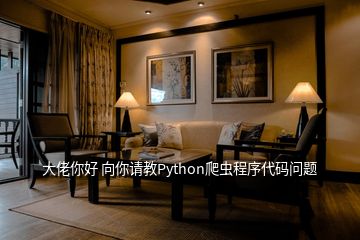 大佬你好 向你請(qǐng)教Python爬蟲程序代碼問題