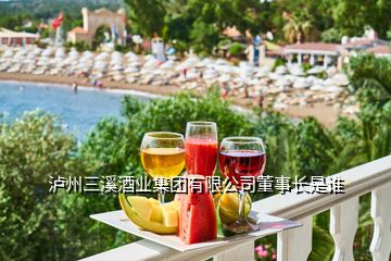 瀘州三溪酒業(yè)集團有限公司董事長是誰