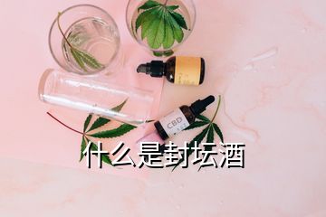 什么是封壇酒