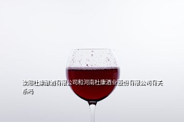 汝陽杜康釀酒有限公司和河南杜康酒業(yè)股份有限公司有關系嗎