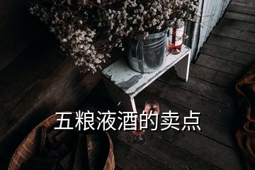 五糧液酒的賣點(diǎn)