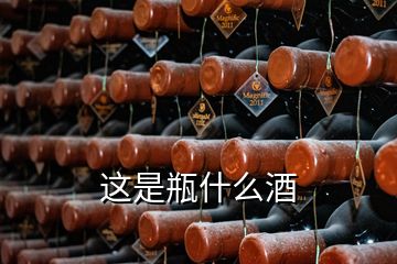 這是瓶什么酒