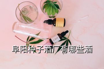 阜陽種子酒廠有哪些酒