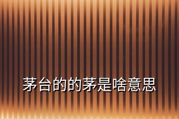 茅臺(tái)的的茅是啥意思