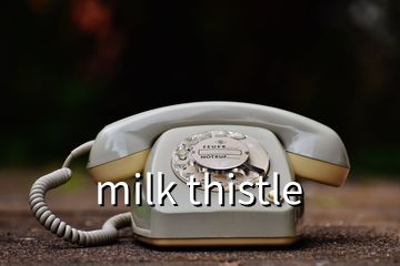 milk thistle