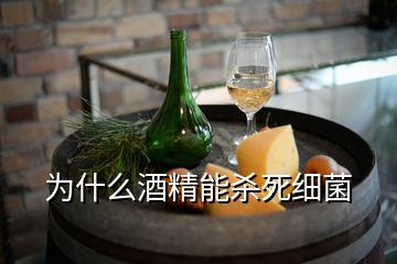 為什么酒精能殺死細菌