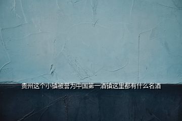 貴州這個(gè)小鎮(zhèn)被譽(yù)為中國(guó)第一酒鎮(zhèn)這里都有什么名酒
