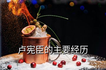 盧憲臣的主要經(jīng)歷