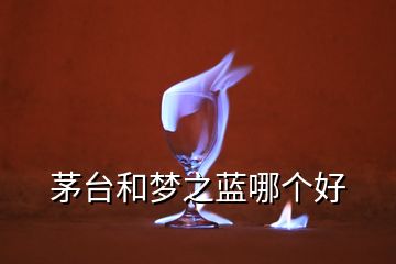 茅臺(tái)和夢(mèng)之藍(lán)哪個(gè)好