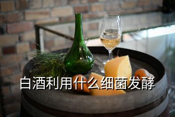 白酒利用什么細(xì)菌發(fā)酵