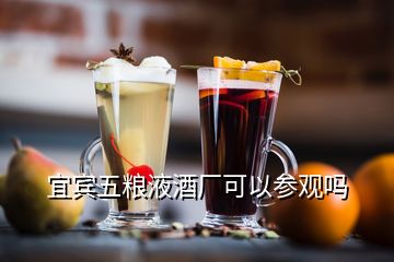 宜賓五糧液酒廠可以參觀嗎