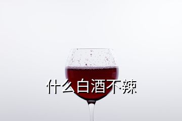 什么白酒不辣