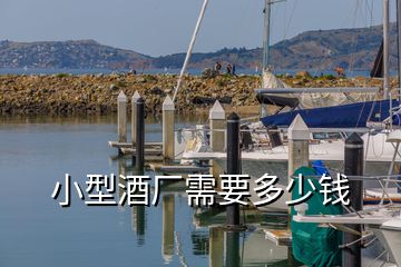 小型酒廠需要多少錢