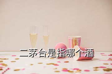 二茅臺(tái)是指哪個(gè)酒