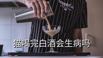 貓喝完白酒會(huì)生病嗎