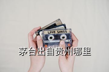 茅臺(tái)出自貴州哪里