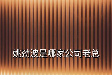 姚勁波是哪家公司老總