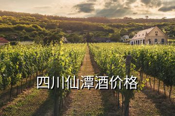 四川仙潭酒價格