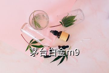 茅臺(tái)白金m9