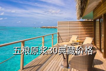 五糧原漿30典藏價格