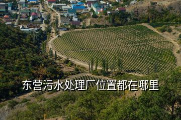 東營污水處理廠位置都在哪里