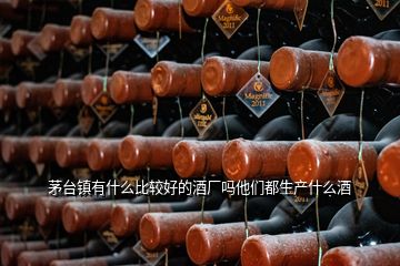 茅臺鎮(zhèn)有什么比較好的酒廠嗎他們都生產(chǎn)什么酒