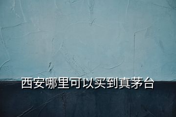 西安哪里可以買到真茅臺(tái)