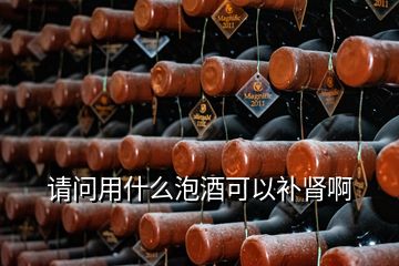 請問用什么泡酒可以補腎啊