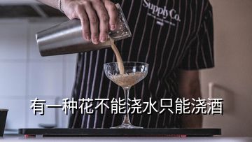 有一種花不能澆水只能澆酒