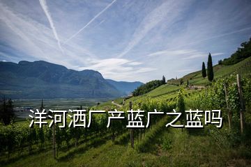 洋河灑廠產(chǎn)藍廣之藍嗎