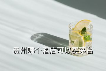 貴州哪個(gè)酒店可以買茅臺(tái)
