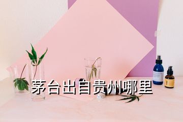 茅臺出自貴州哪里