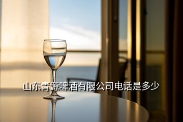 山東青源啤酒有限公司電話是多少