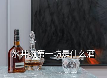 水井坊第一坊是什么酒