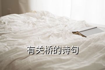 有關(guān)橋的詩句