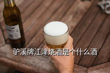 驢溪牌江津燒酒是個什么酒