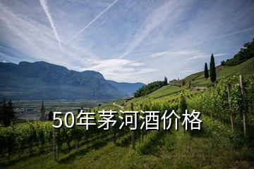 50年茅河酒價格