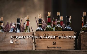 關于葡萄酒的可行性報告投資建葡萄酒廠要具體完整的概括