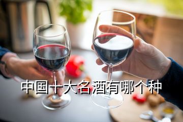 中國(guó)十大名酒有哪個(gè)種