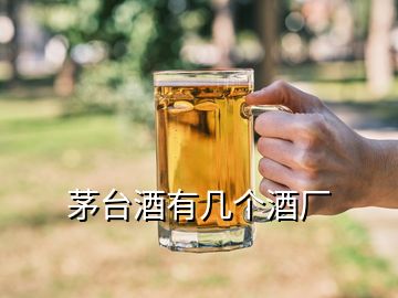 茅臺酒有幾個酒廠