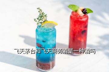 飛天茅臺(tái)和飛天商務(wù)酒是一種酒嗎