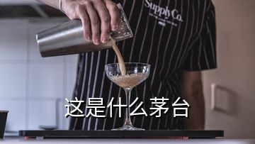 這是什么茅臺(tái)