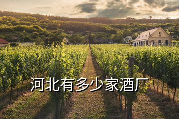 河北有多少家酒廠