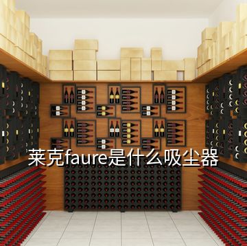 萊克faure是什么吸塵器